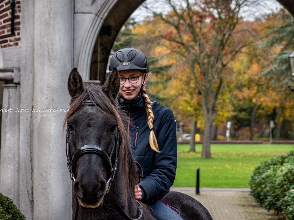 ruitersport, fries, paard
