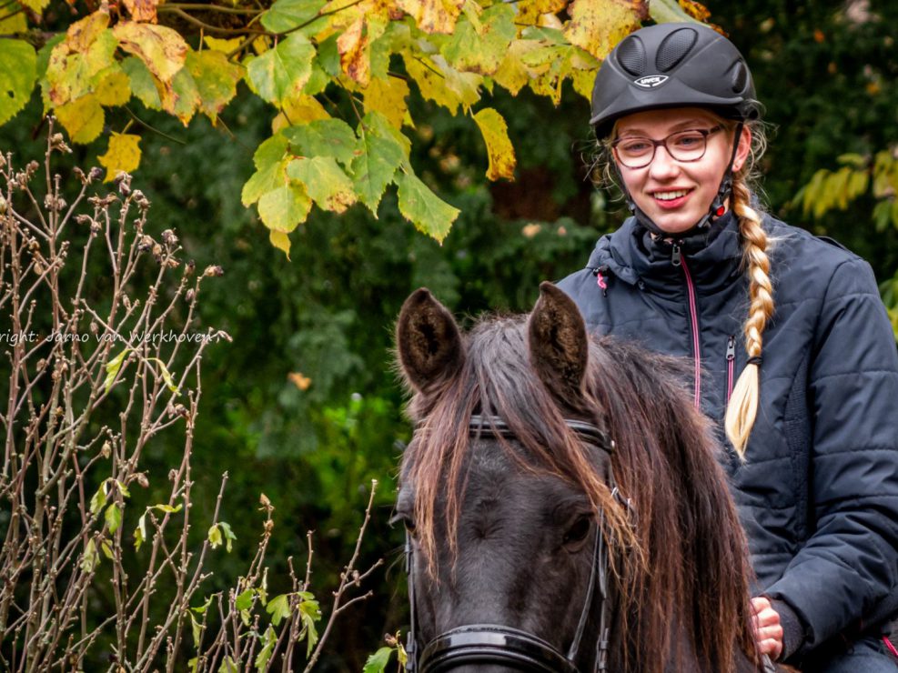 ruitersport, fries, paard